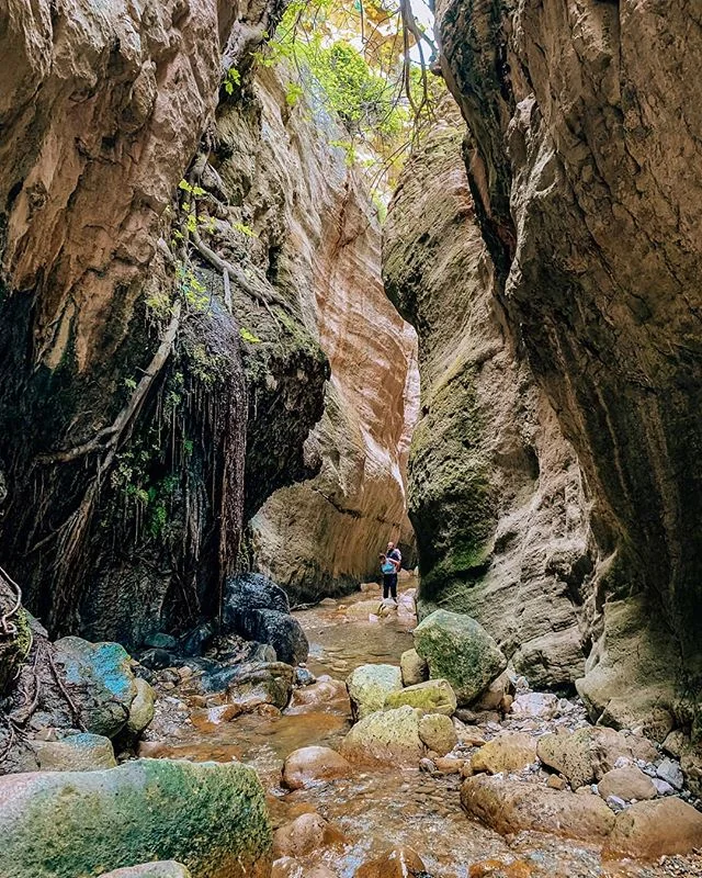Avakas Gorge, Cyprus