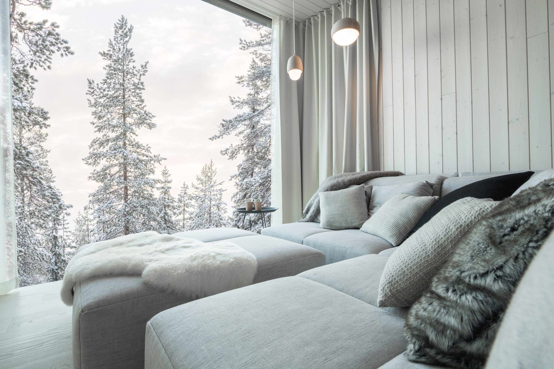 ArcticScene Executive Suite