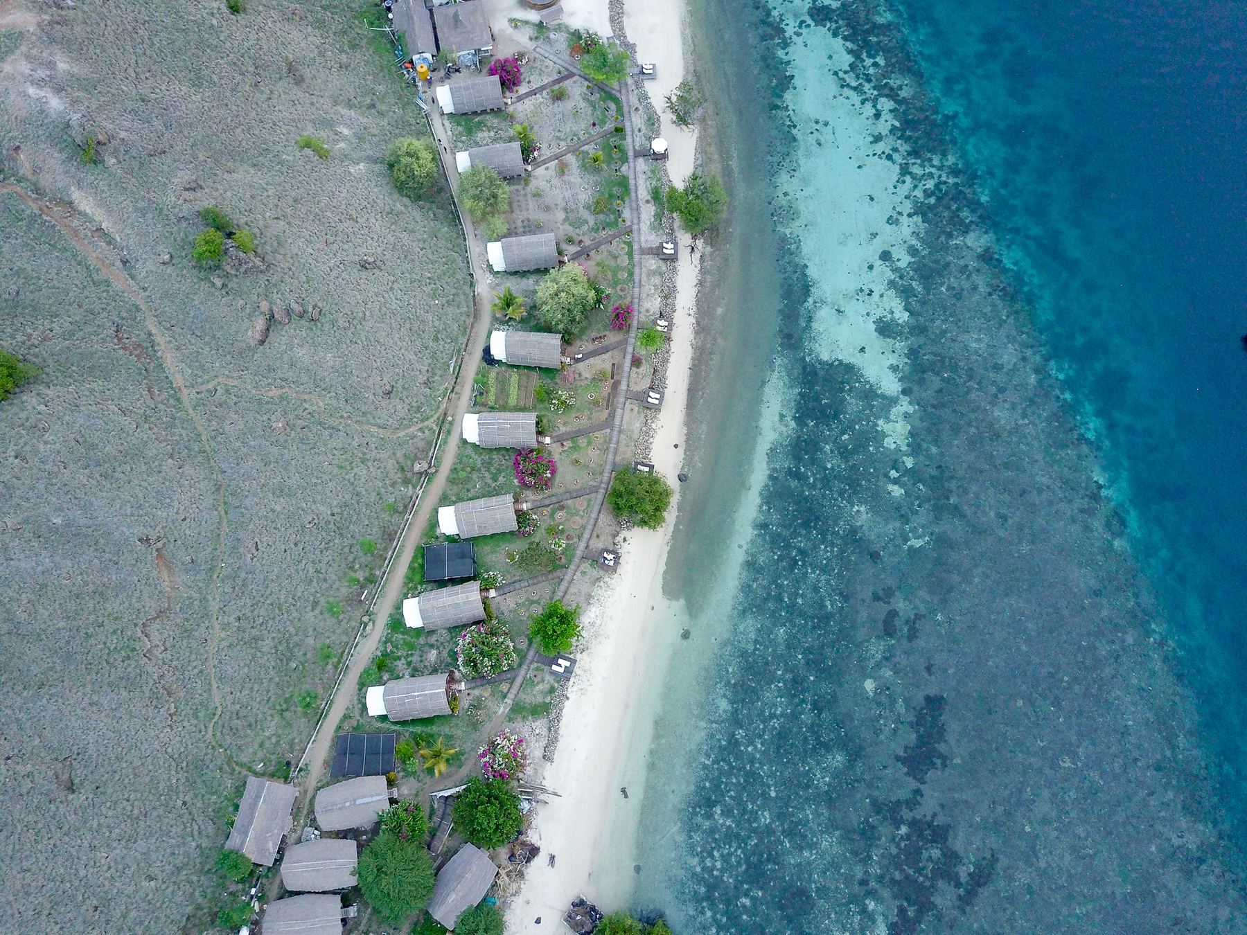 Komodo Resort