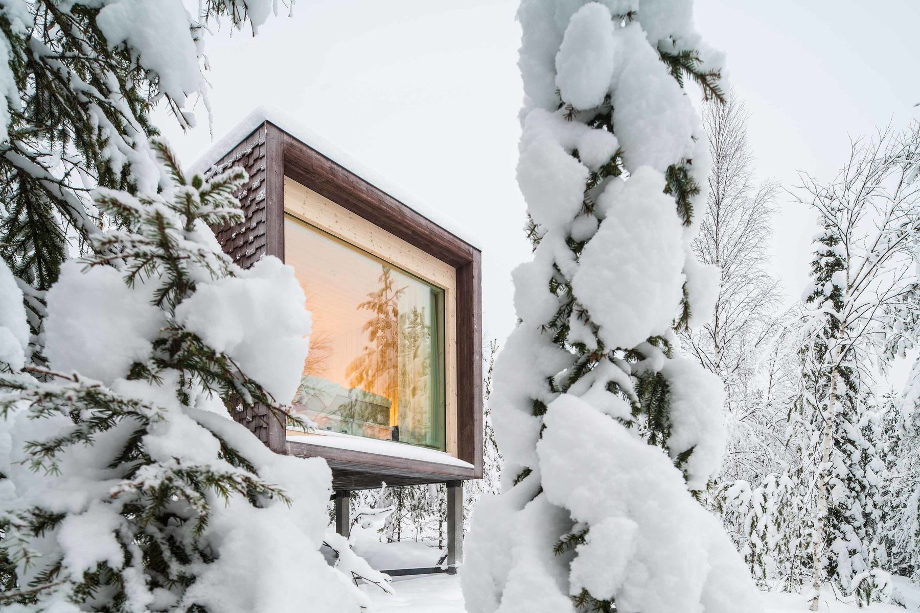 Arctic TreeHouse Suite – Außenansicht
