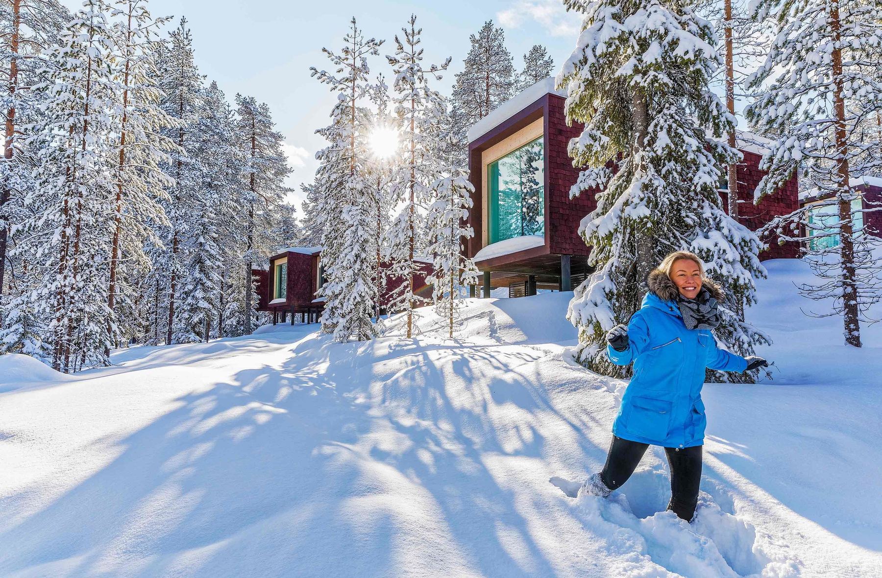 Arctic TreeHouse Hotel