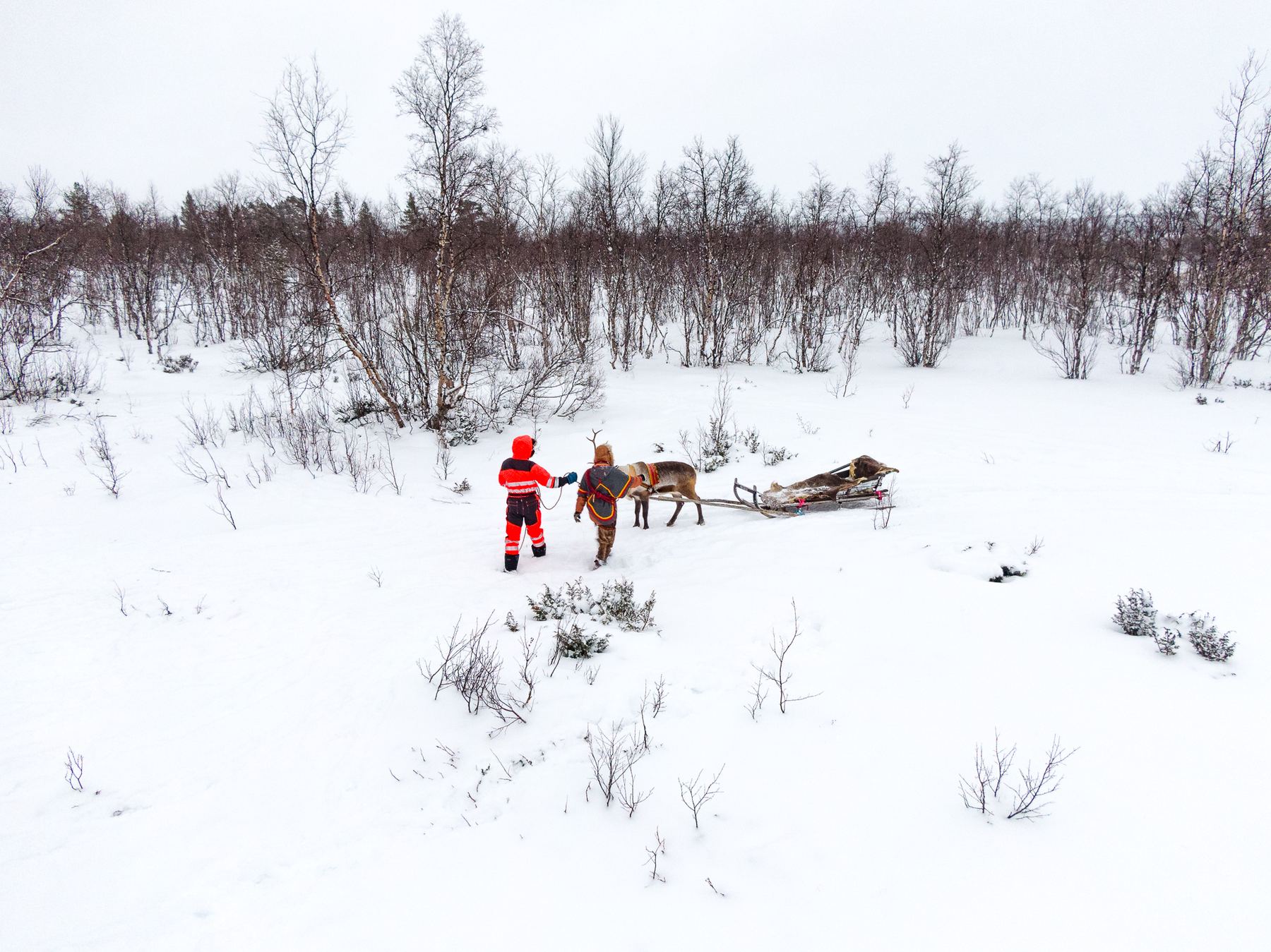 Reindeer-Sleigh-Rides.jpg