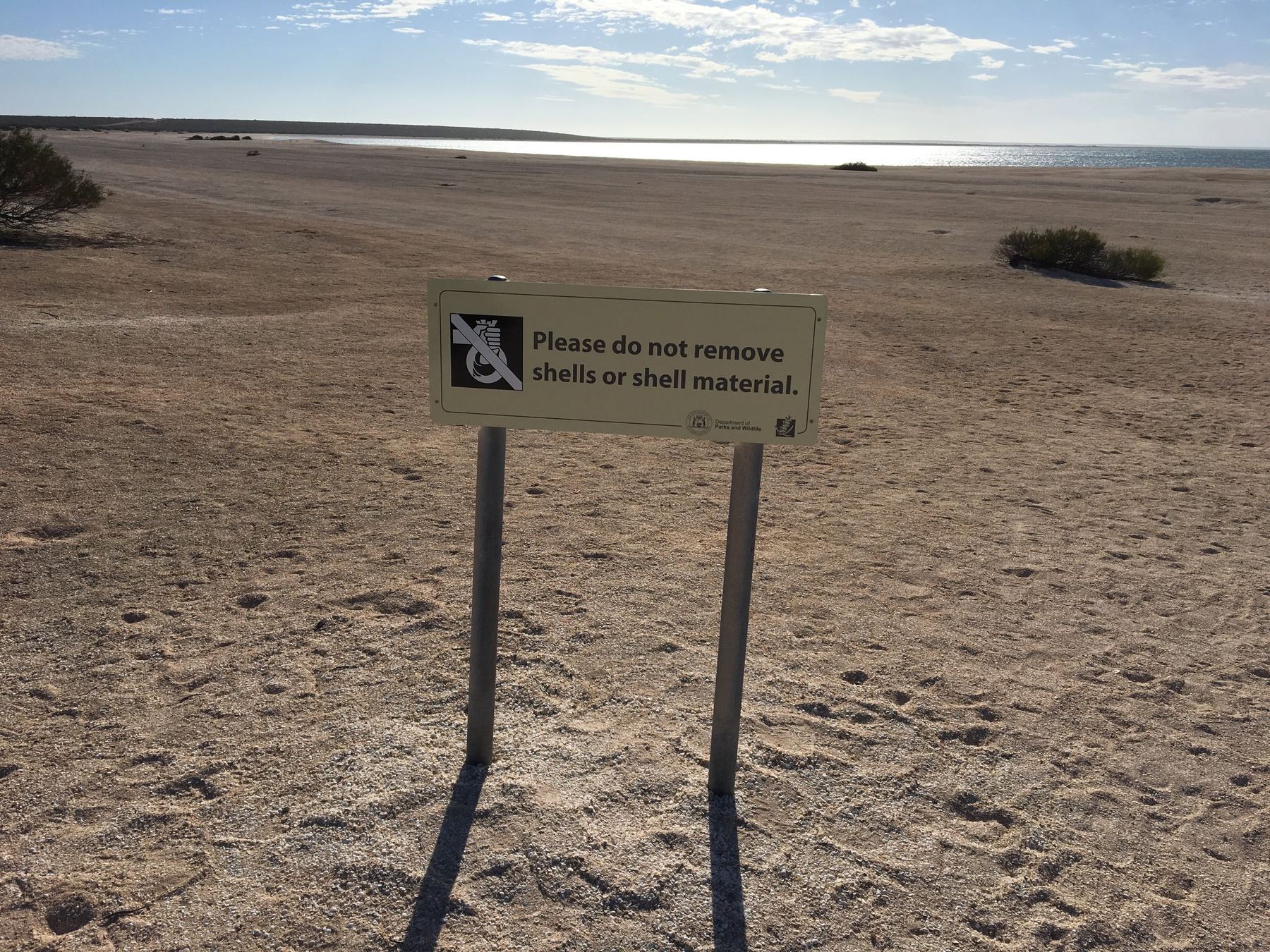 Shell Beach
