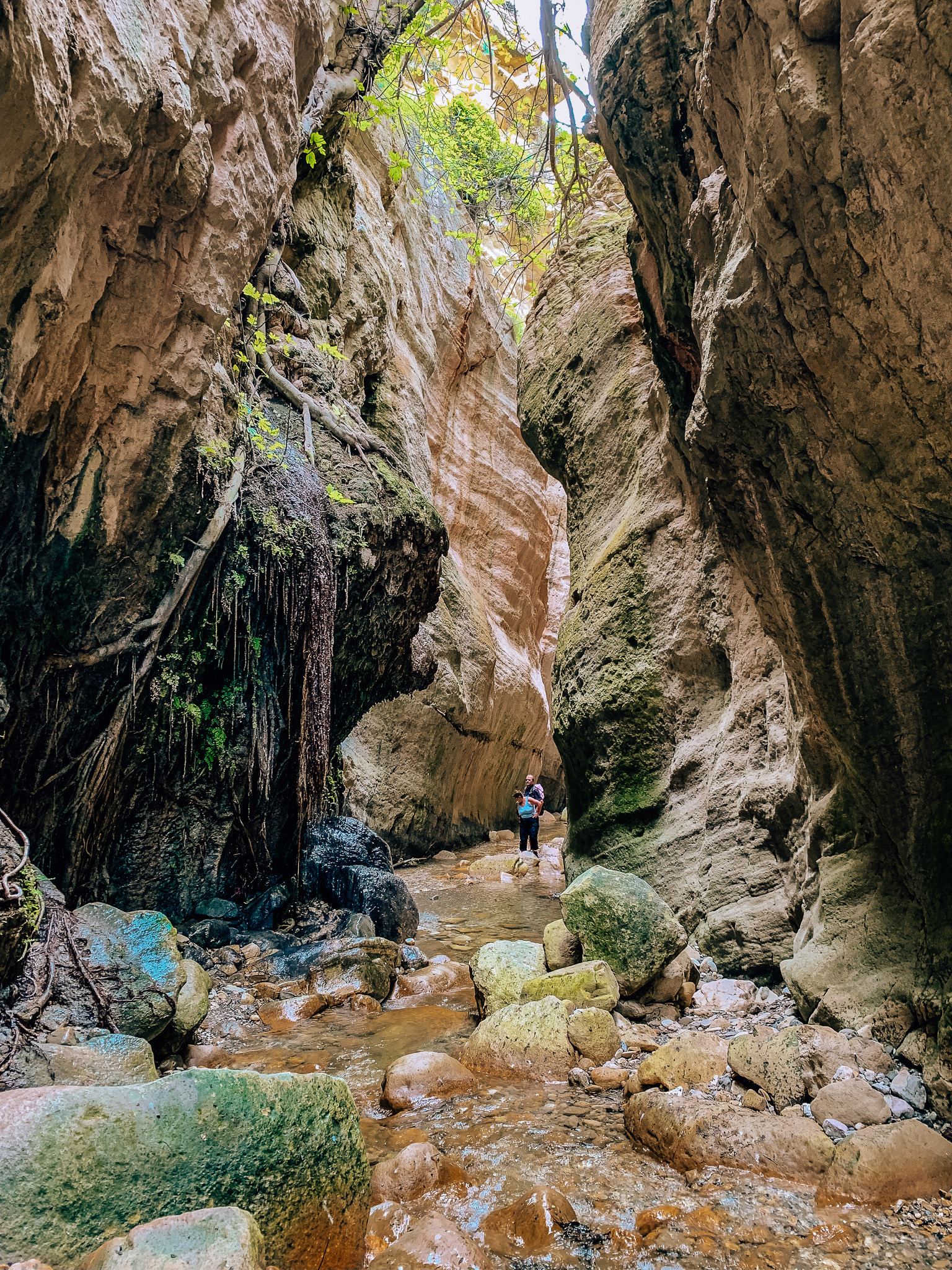 Avakas-Schlucht