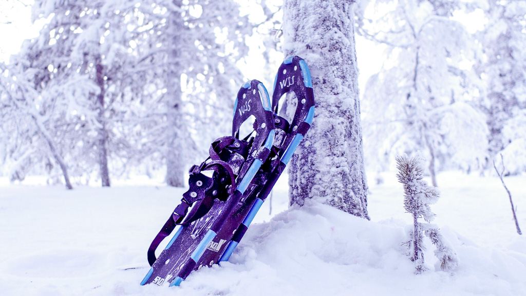 Schneeschuhwandern in den Fjells.jpg