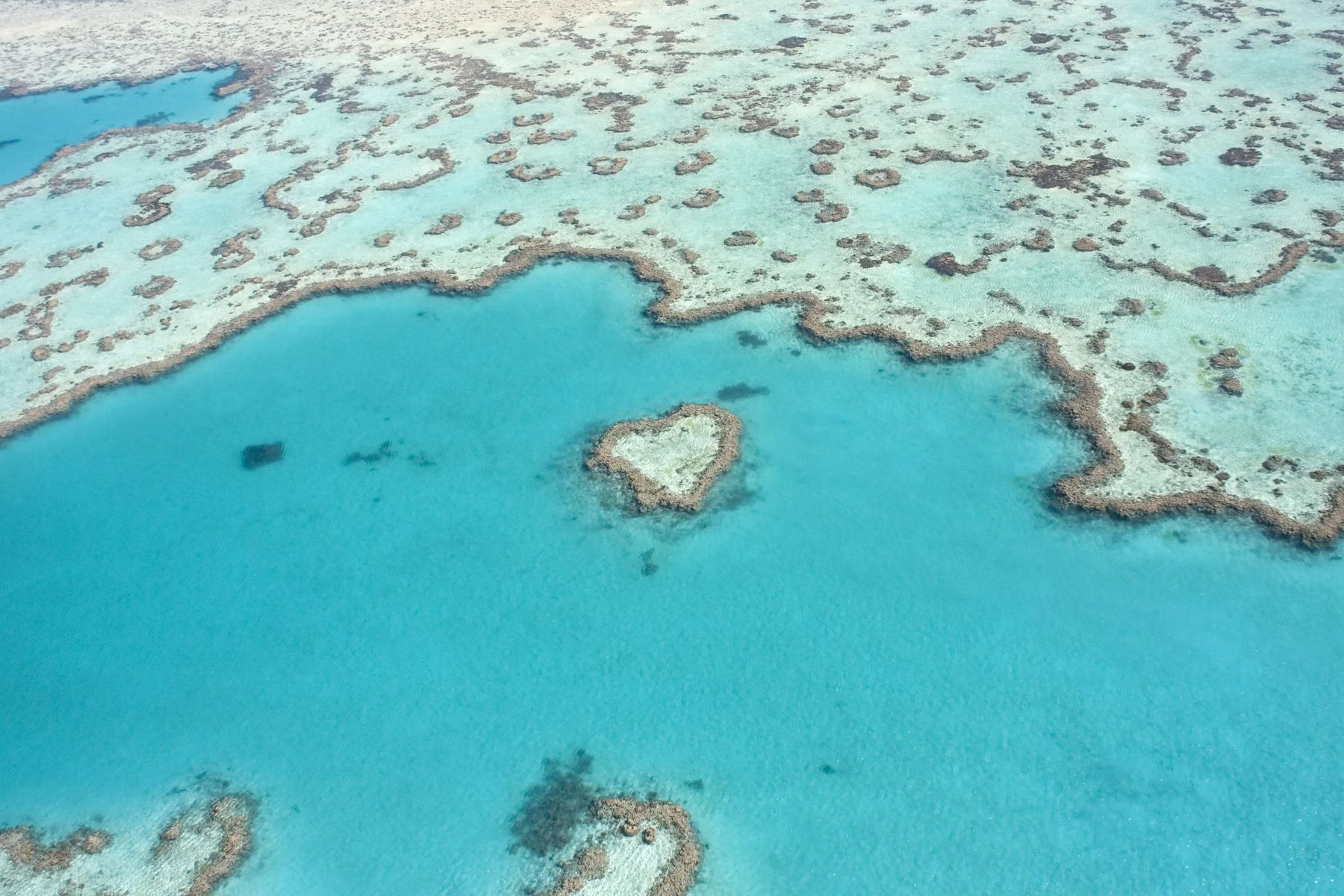 Infos zum Great Barrier Reef