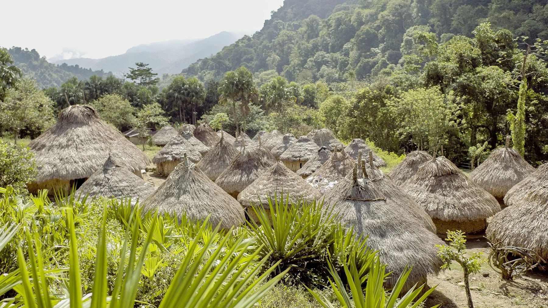 The Lost City Trek Colombia - La Ciudad Perdida