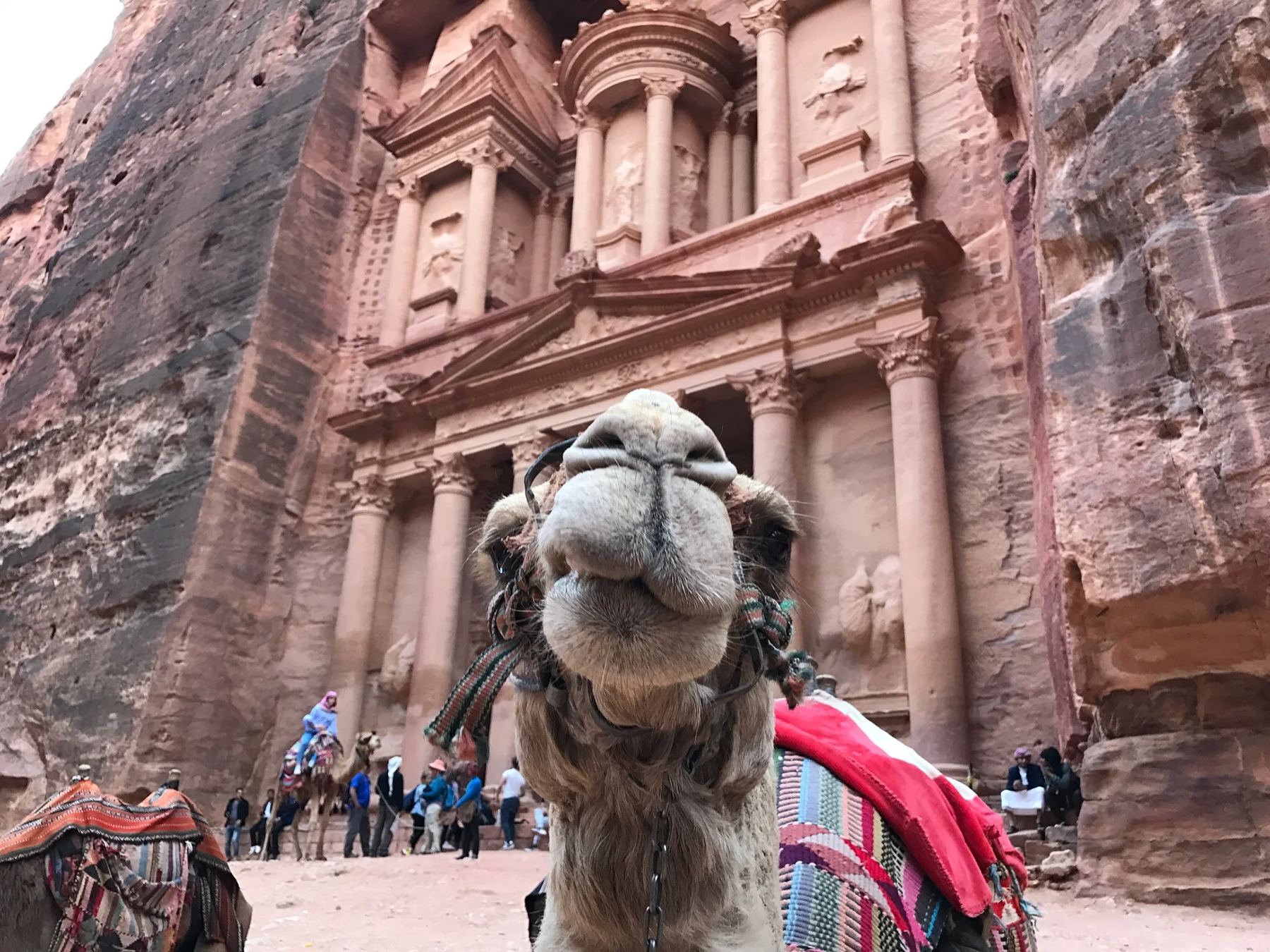 Travel to Jordan: Petra, Wadi Rum, and Aqaba